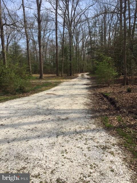 39 Chestnut Road Bridgeton, NJ 08302 - Photo 7 of 47