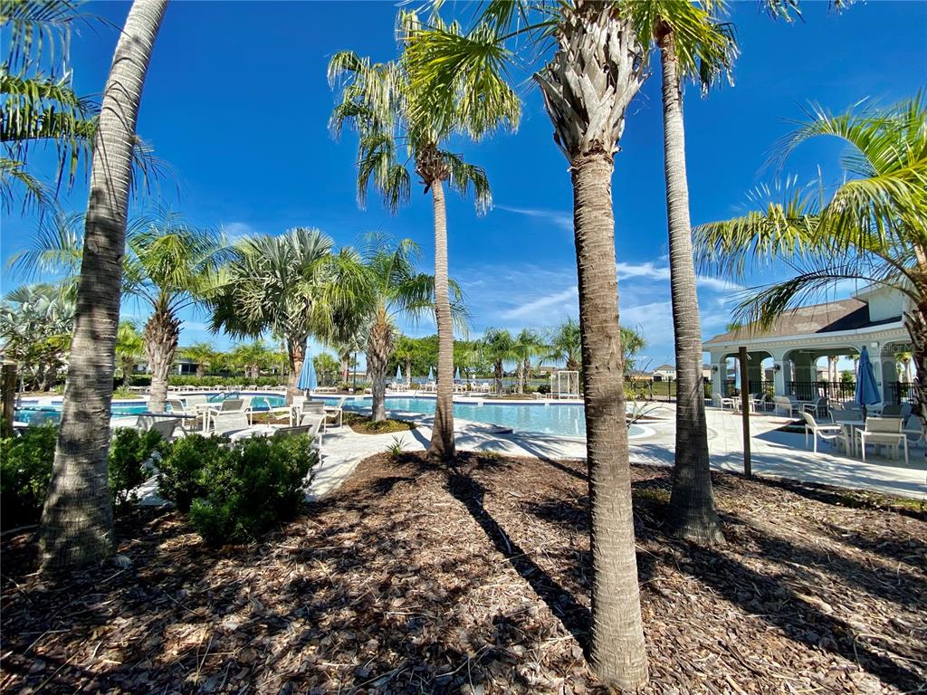 10143 Newminster Loop Ruskin, FL 33573 - Photo 25 of 25