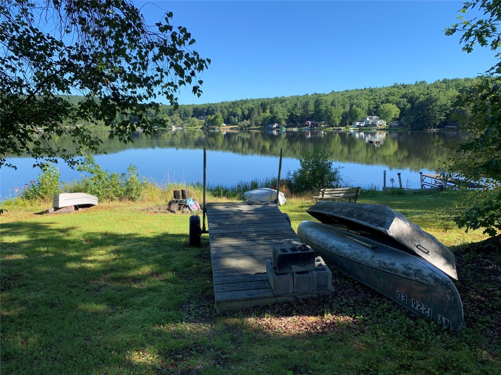 143 Dick Merritt Road Windsor, NY 13865 - Photo 3 of 10 Gallery Image 3