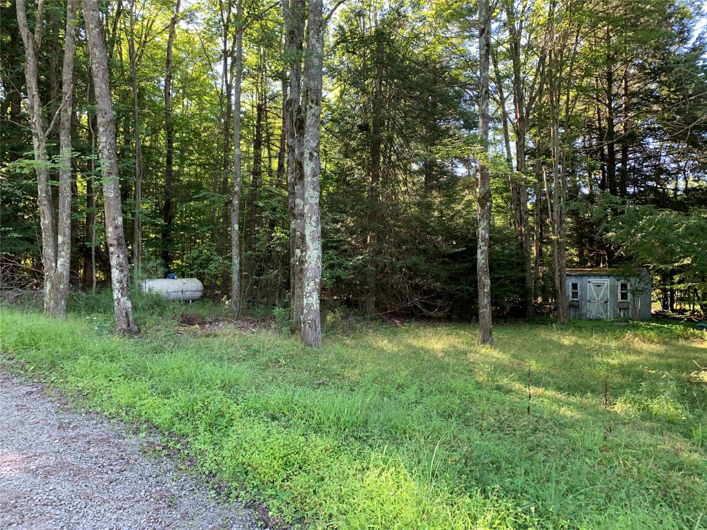 143 Dick Merritt Road Windsor, NY 13865 - Photo 5 of 10 Gallery Image 5