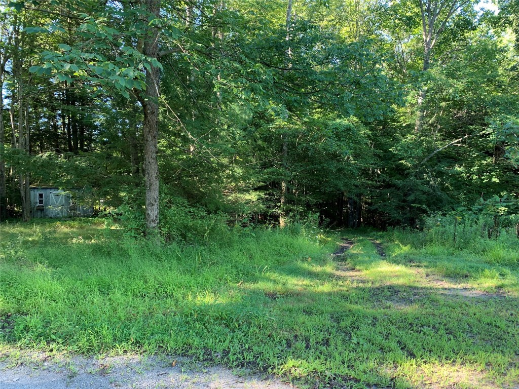 143 Dick Merritt Road Windsor, NY 13865 - Photo 6 of 10 Gallery Image 6