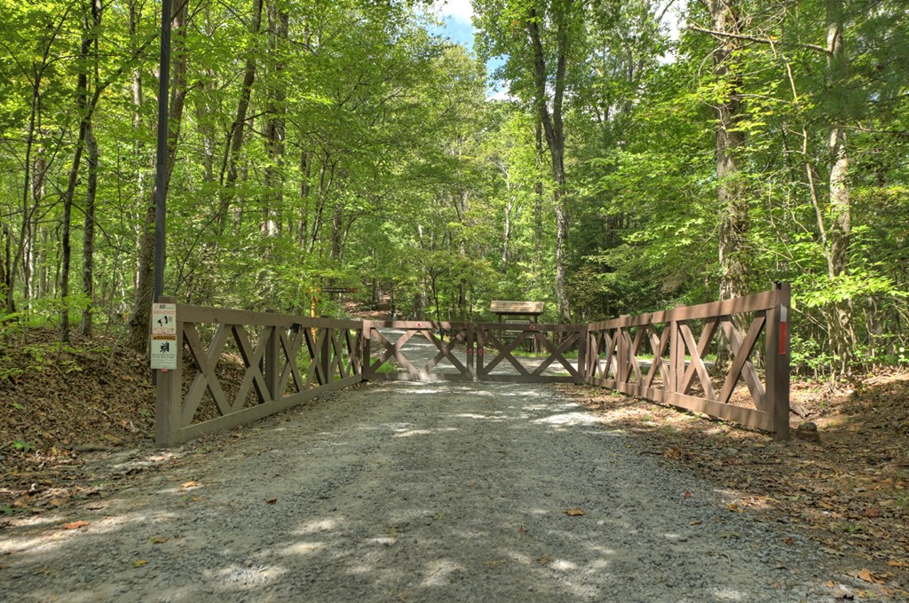 Lot 5 Chief Ron Green Trail Blue Ridge, GA 30513 - Photo 2 of 18 Gallery Image 2