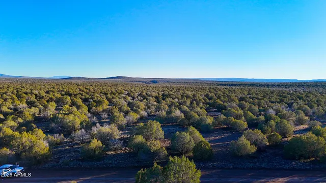 $11,999 | 3592 West Betty Jo Way, Unit 490, Williams, AZ 86046