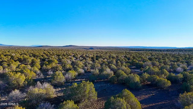 $11,999 | 3592 West Betty Jo Way, Unit 490, Williams, AZ 86046