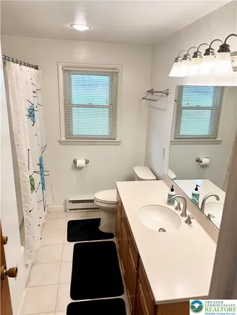 a bathroom with a sink a toilet and a mirror