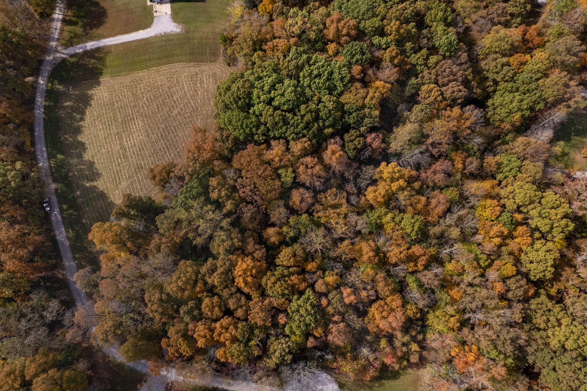 277 Raven Crest Road Lawrenceburg, TN 38464 - Photo 12 of 13 Gallery Image 12