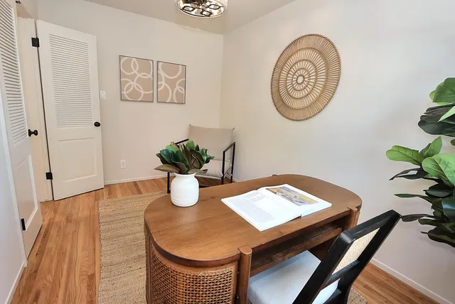 a view of a garden with plants