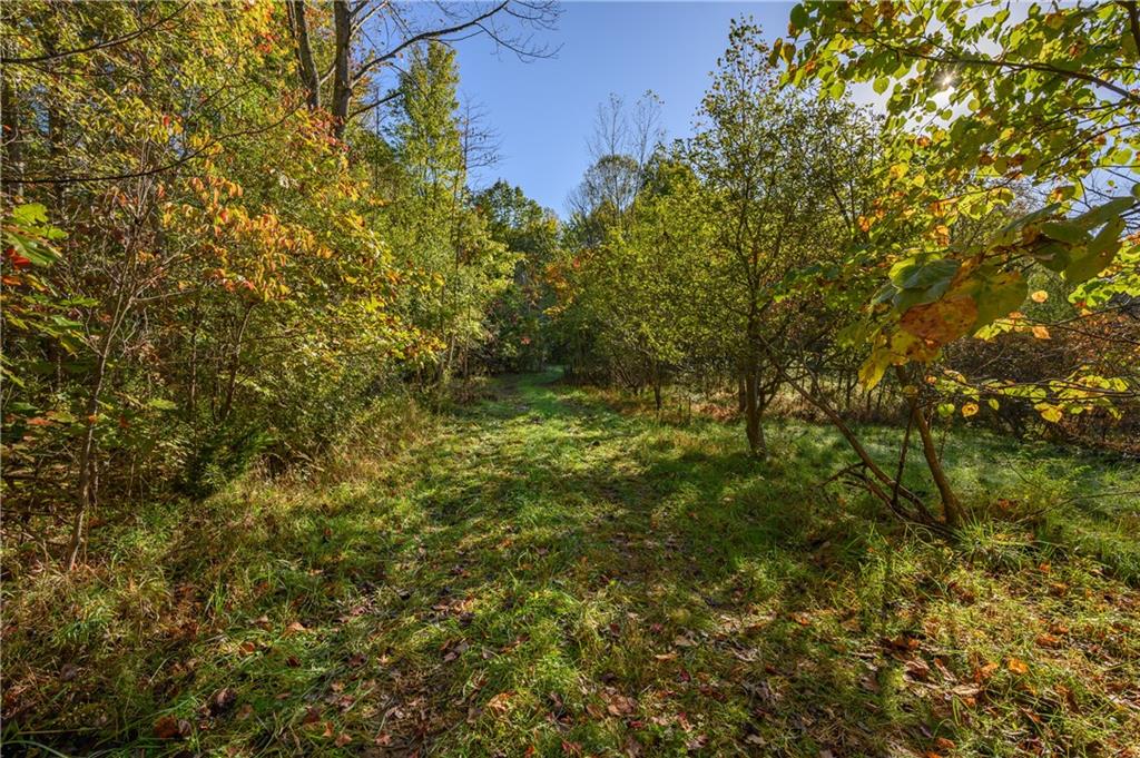 5052 Lanam Ridge Road Nashville, IN 47448 - Photo 24 of 60 Gallery Image 24