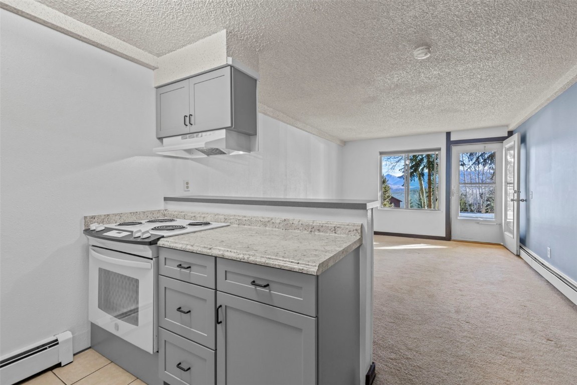 7307 Ryan Gulch Road, Unit 7307 Silverthorne, CO 80498 - Photo 6 of 20 a kitchen with cabinets appliances and a counter top