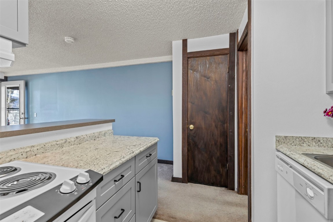 7307 Ryan Gulch Road, Unit 7307 Silverthorne, CO 80498 - Photo 8 of 20