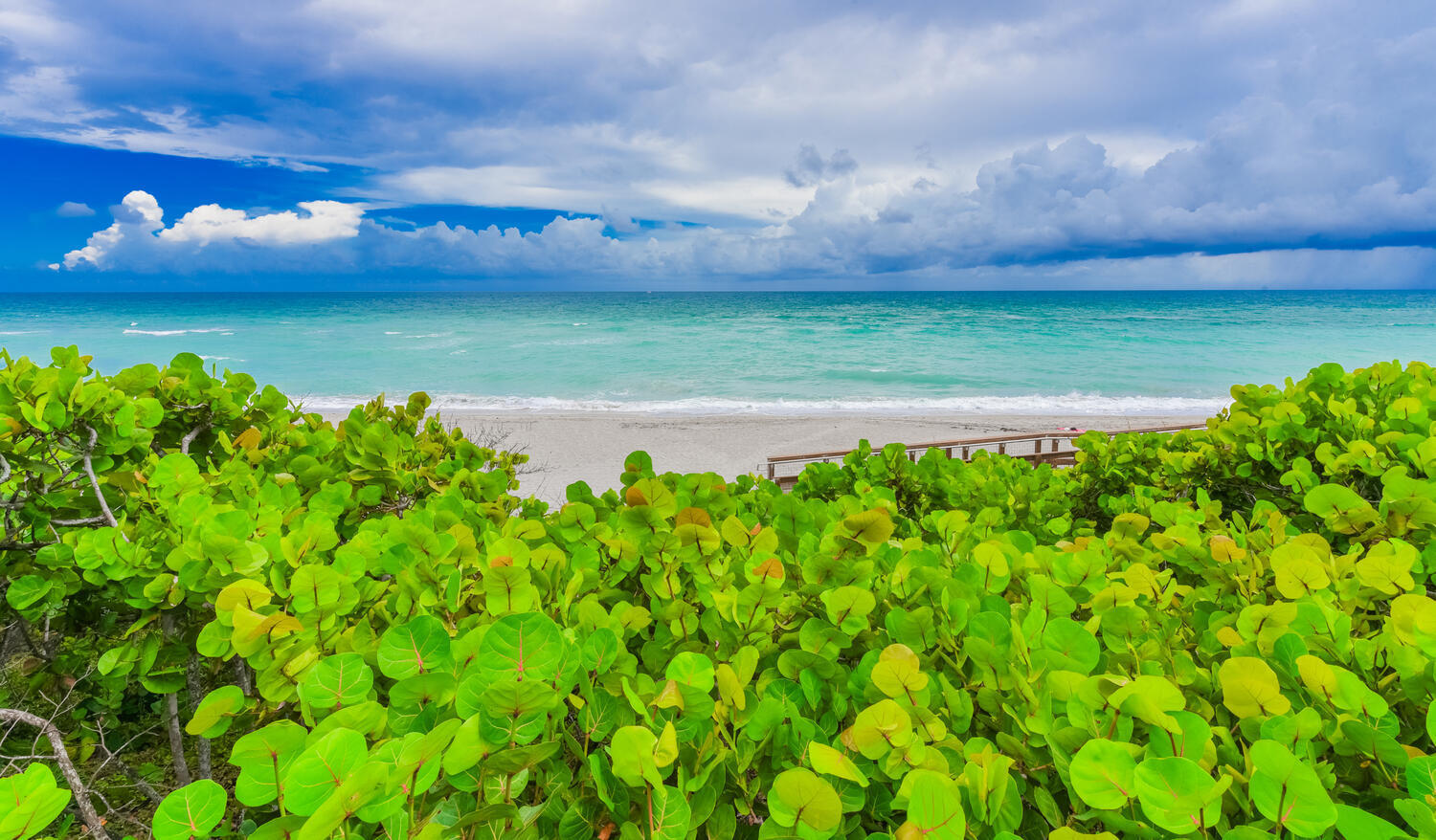 176 Helios Drive, Unit 308 Jupiter, FL 33477 - Photo 48 of 83 176 Helios Dr Apt 308 Jupiter-large-047-