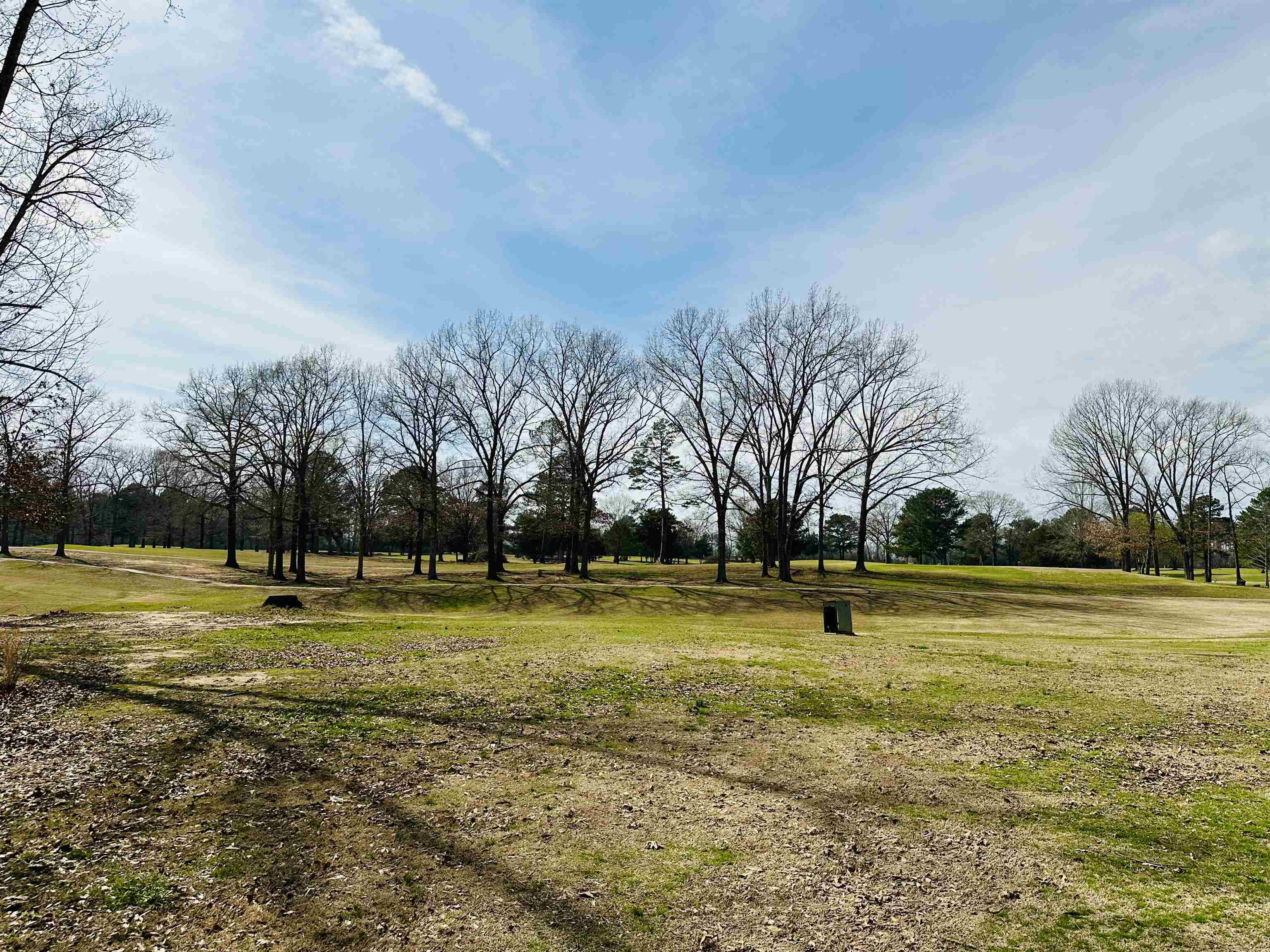 2581 Caney Branch Road Adamsville, TN 38310 - Photo 25 of 25 Gallery Image 25