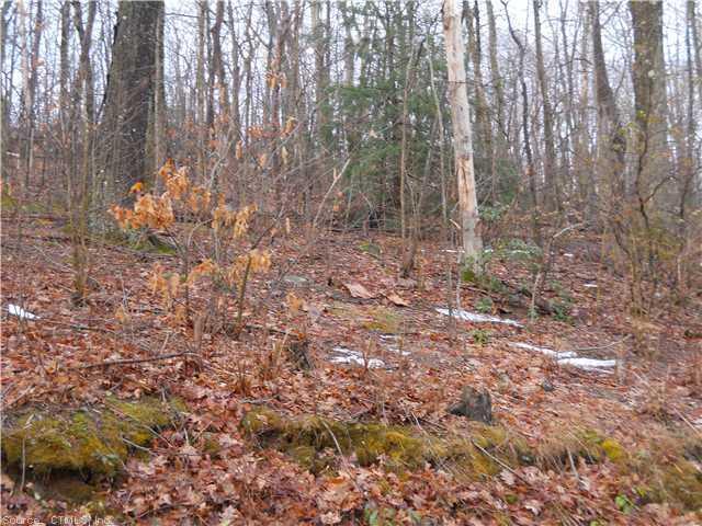 a backyard of a house with lots of green space and fog