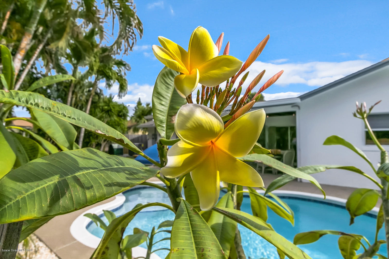 490 Kingston Road Satellite Beach, FL 32937 - Photo 54 of 85 51_490Kingston015_mls