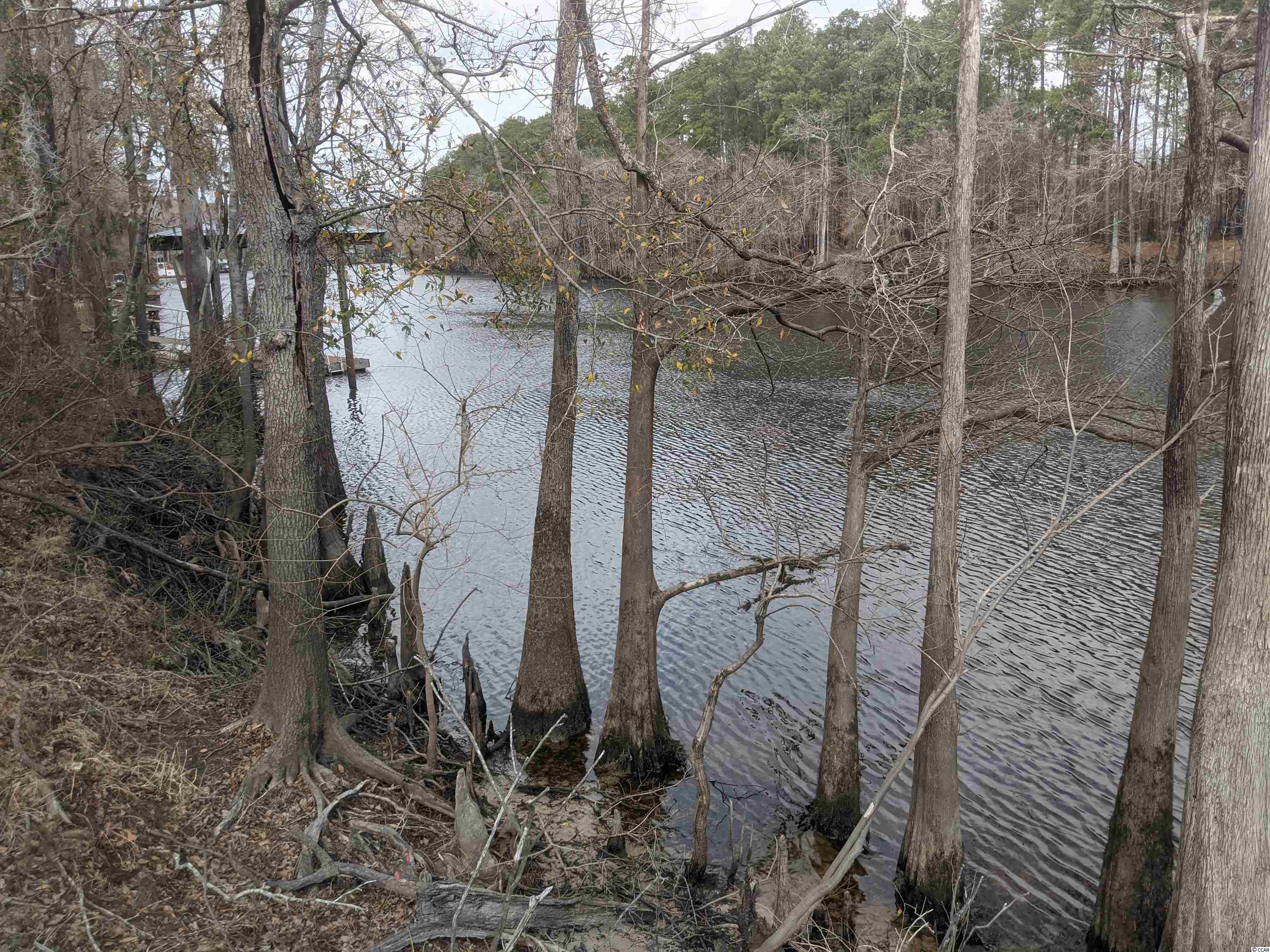 Lot 9 River Road Conway, SC 29526 - Photo 3 of 8 Gallery Image 3