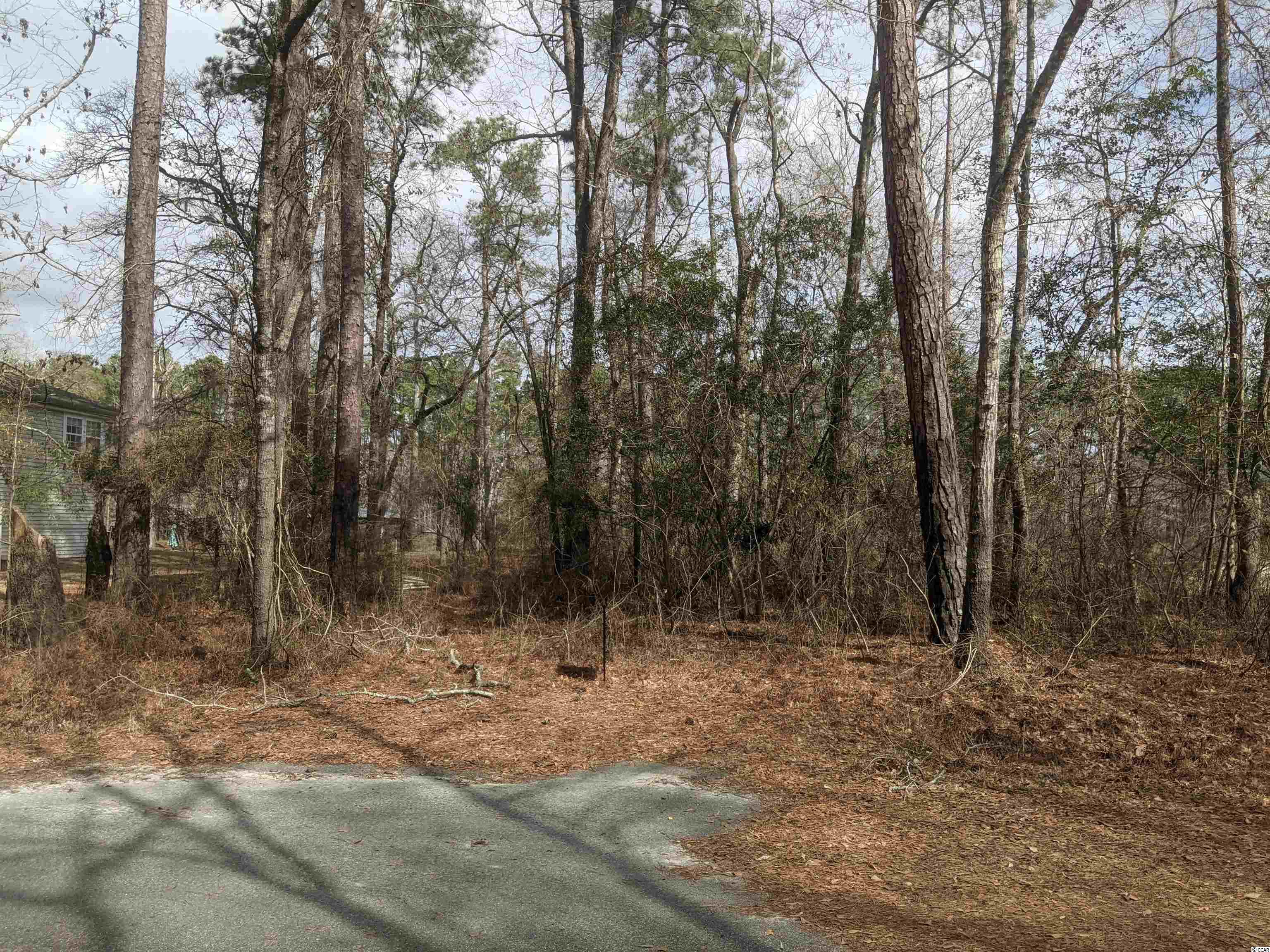 Lot 9 River Road Conway, SC 29526 - Photo 6 of 8 Gallery Image 6