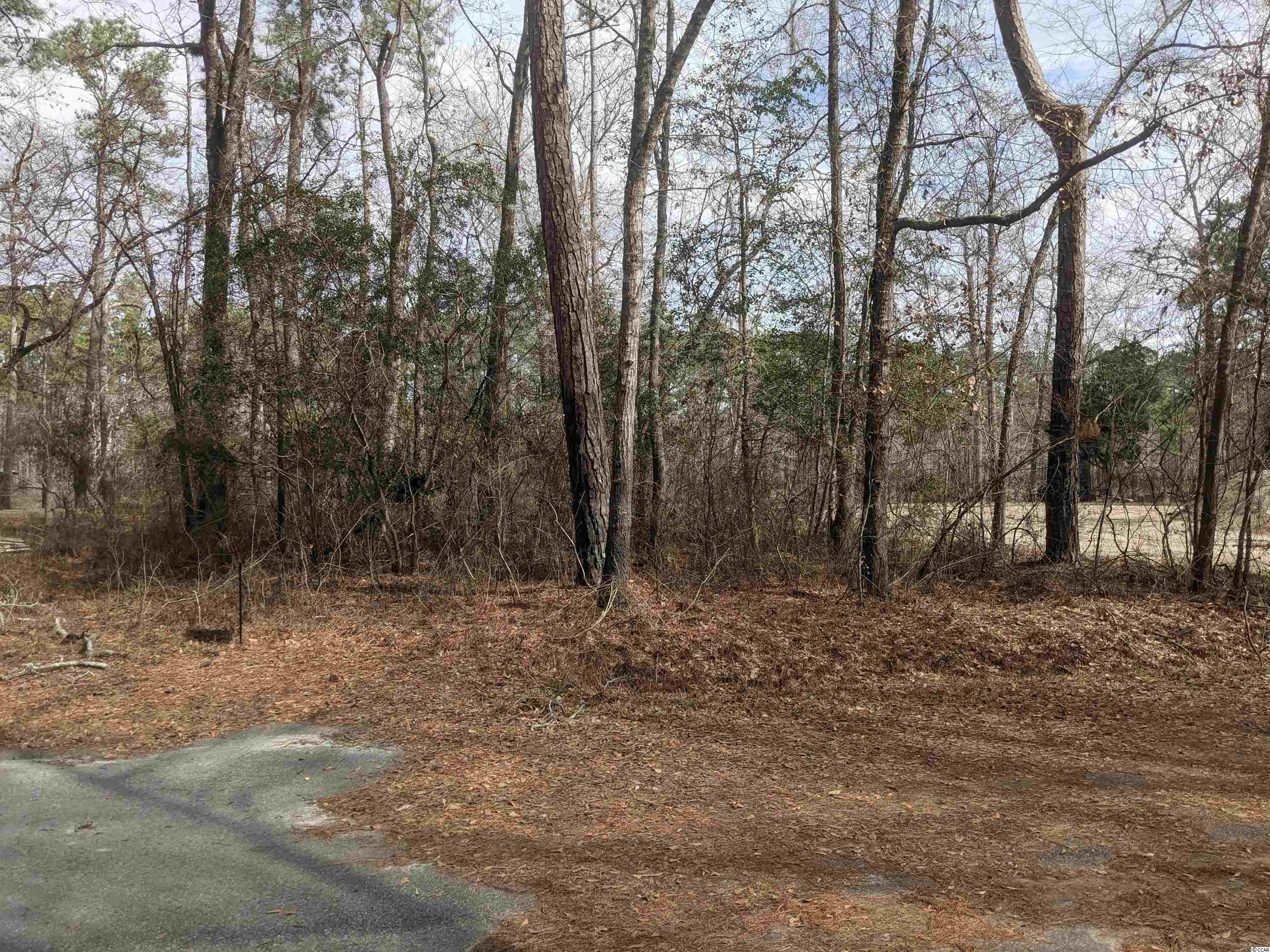 Lot 9 River Road Conway, SC 29526 - Photo 8 of 8 Gallery Image 8