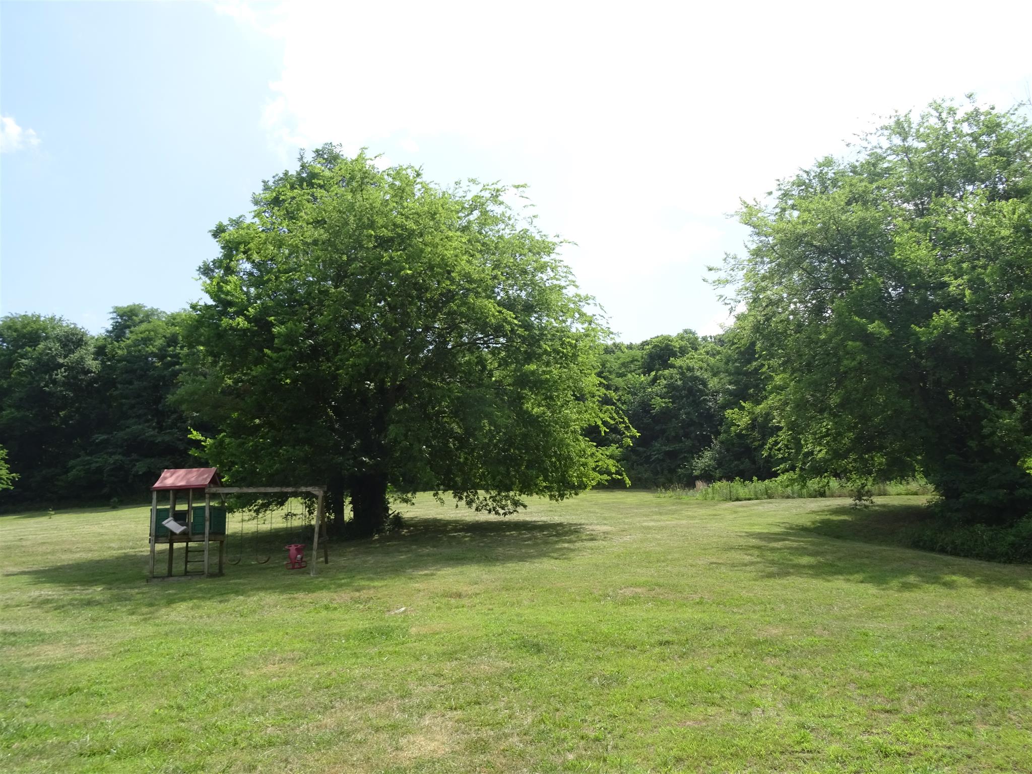 1246 Dillon Road Milton, TN 37118 - Photo 21 of 29 a view of a park with large trees