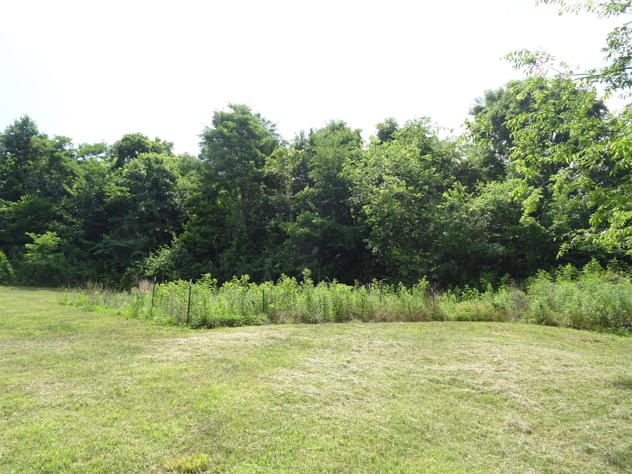 1246 Dillon Road Milton, TN 37118 - Photo 22 of 29 a view of a park
