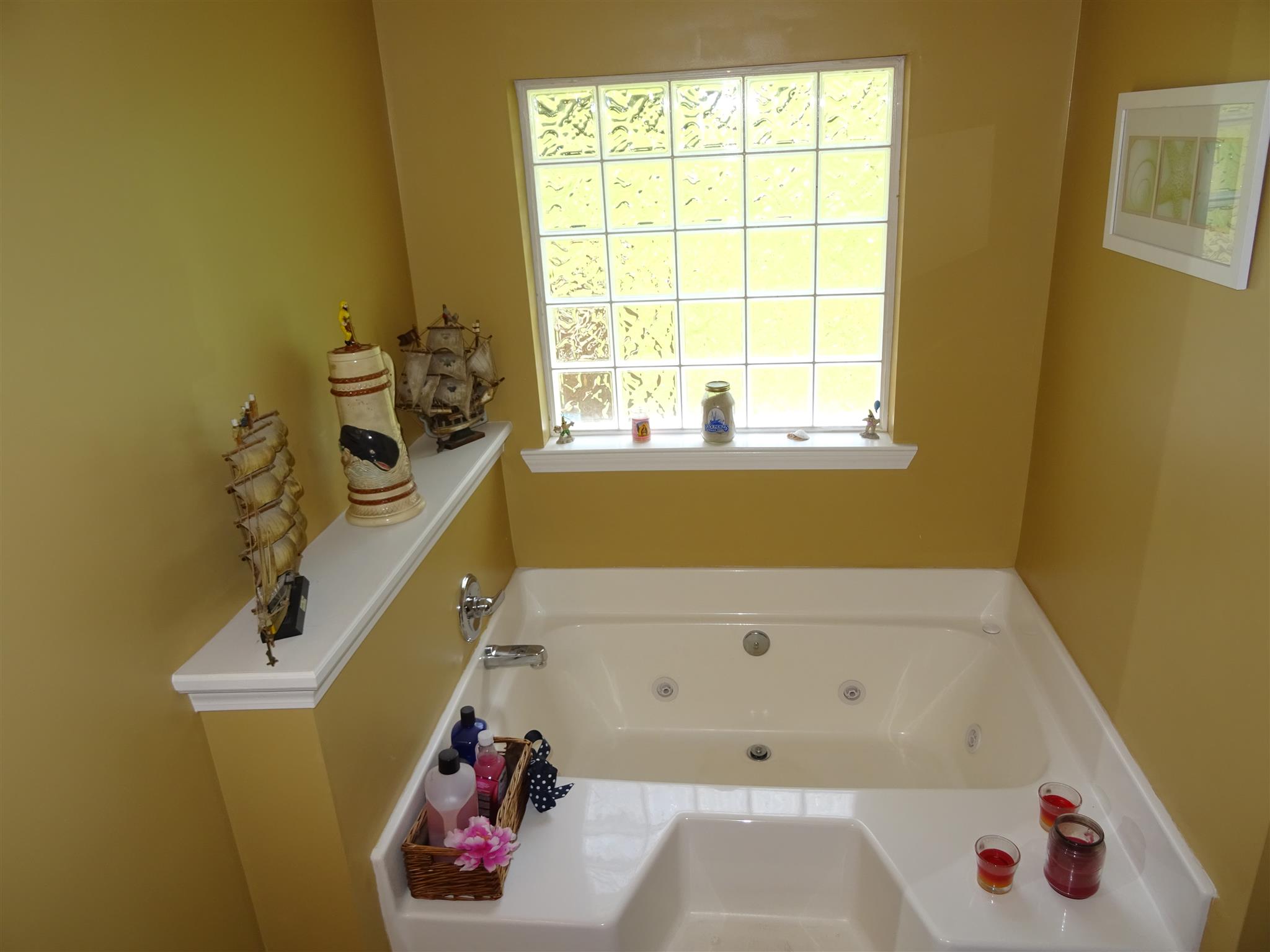 1246 Dillon Road Milton, TN 37118 - Photo 10 of 29 a bathroom with a bathtub and a window