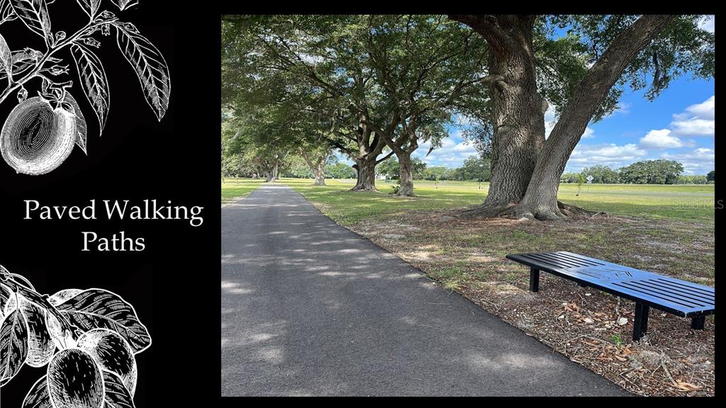 5535 Southwest 125th Circle Archer, FL 32618 - Photo 14 of 19 a view of a park with large trees