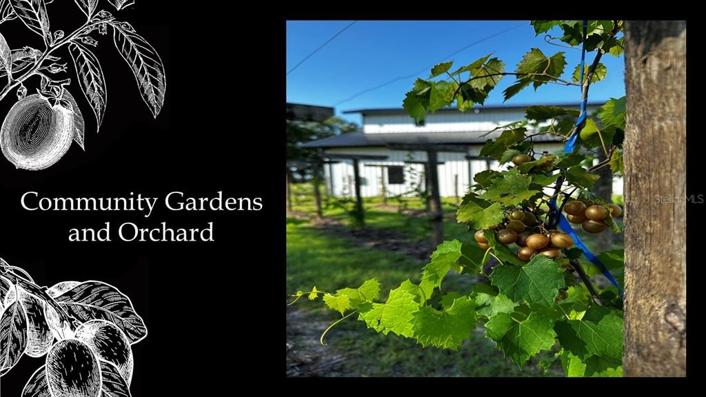 5535 Southwest 125th Circle Archer, FL 32618 - Photo 15 of 19