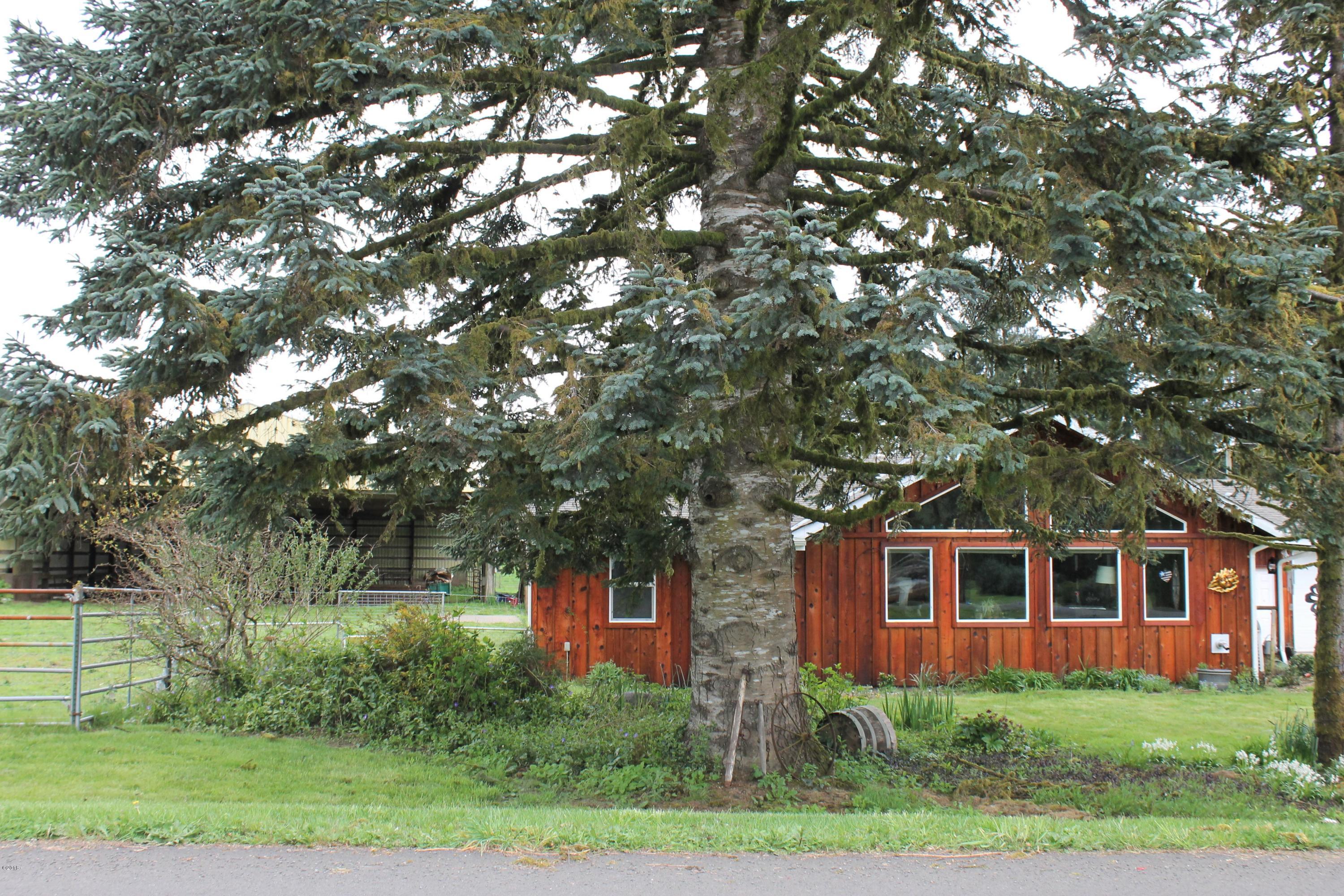 290 Camp 12 Loop Toledo, OR 97391 - Photo 5 of 29 Front of house-arena on left