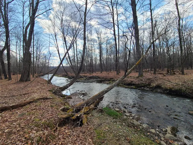 $249,500 | 0 Rt 52 And Mineral Springs Road, Swan Lake, NY 12787