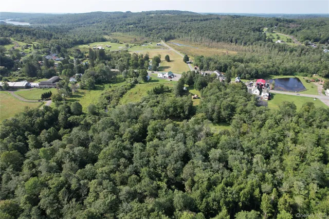 $249,500 | 0 Rt 52 And Mineral Springs Road, Swan Lake, NY 12787