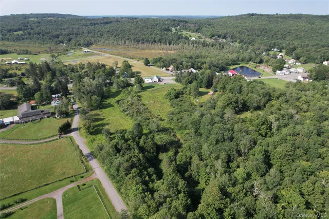 $249,500 | 0 Rt 52 And Mineral Springs Road, Swan Lake, NY 12787