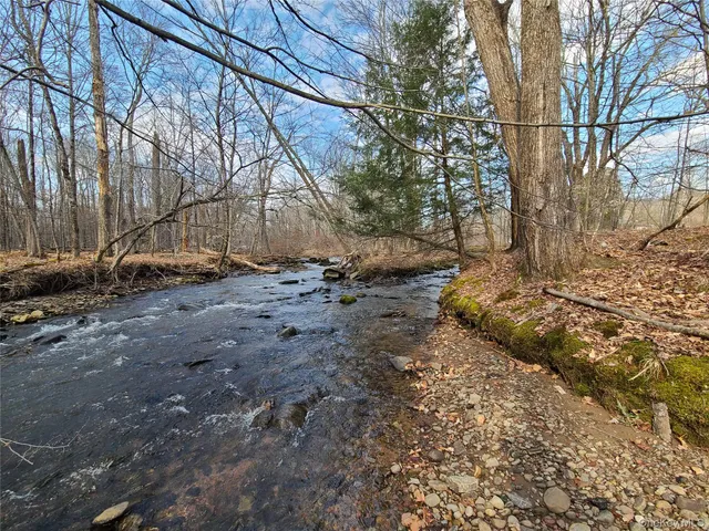 $249,500 | 0 Rt 52 And Mineral Springs Road, Swan Lake, NY 12787