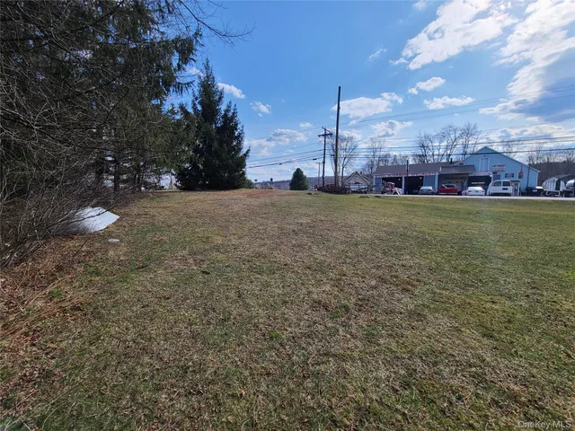 $249,500 | 0 Rt 52 And Mineral Springs Road, Swan Lake, NY 12787