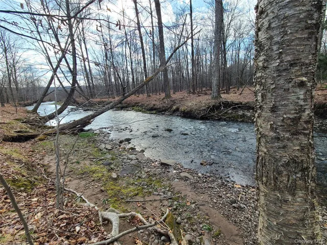 $249,500 | 0 Rt 52 And Mineral Springs Road, Swan Lake, NY 12787