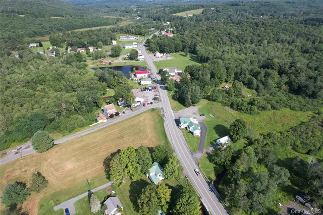 $249,500 | 0 Rt 52 And Mineral Springs Road, Swan Lake, NY 12787