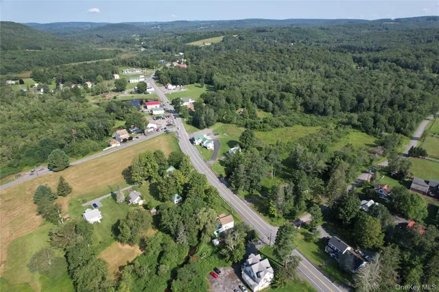 $249,500 | 0 Rt 52 And Mineral Springs Road, Swan Lake, NY 12787