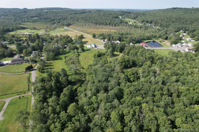 $249,500 | 0 Rt 52 And Mineral Springs Road, Swan Lake, NY 12787