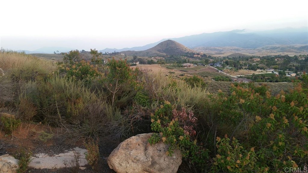 Hillside Estates Jamul, CA 91935 - Photo 22 of 24 a view of a city with lush green forest