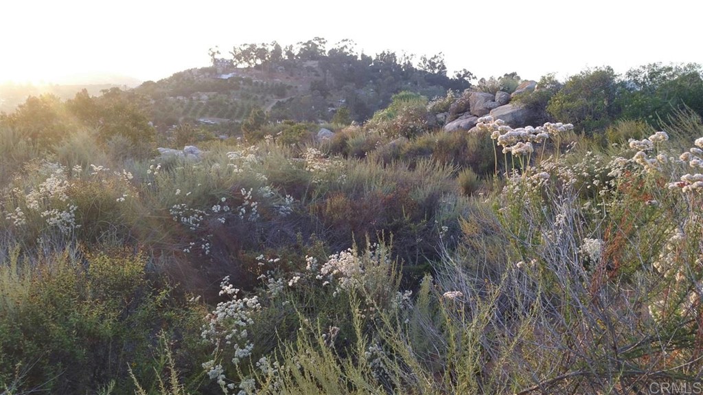 Hillside Estates Jamul, CA 91935 - Photo 23 of 24 a view of a city