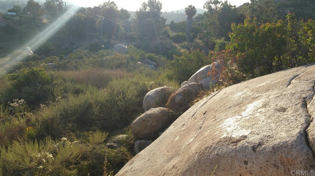 Hillside Estates Jamul, CA 91935 - Photo 3 of 24 a view of a lake from a balcony