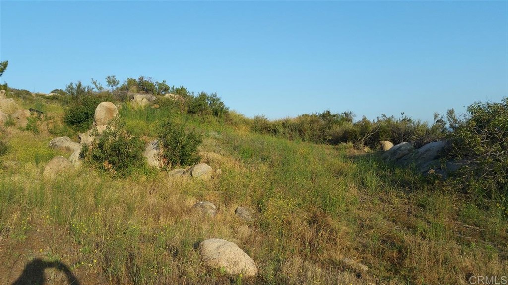 Hillside Estates Jamul, CA 91935 - Photo 4 of 24 a view of a yard