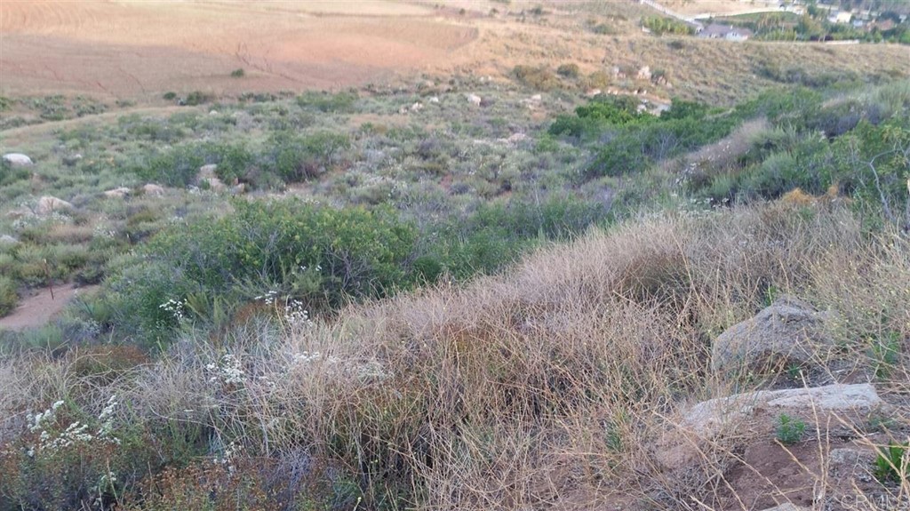 Hillside Estates Jamul, CA 91935 - Photo 8 of 24 a view of a lush green forest with lots of trees