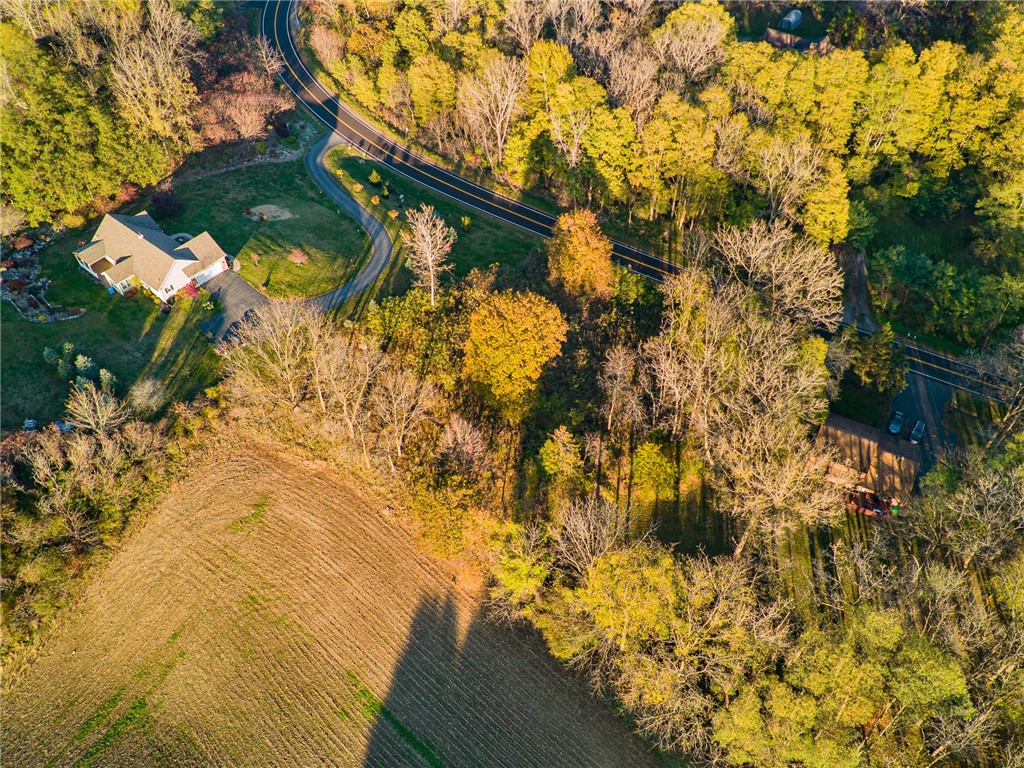 9 Rabbit Run Road Bloomfield, NY 14469 - Photo 8 of 9