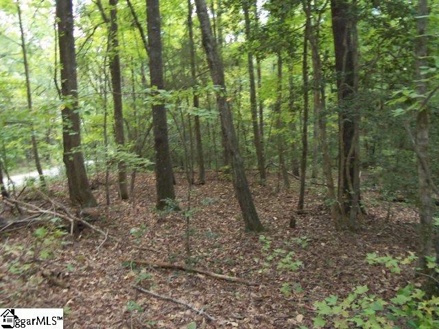 0 Twin Branch Road Gray Court, SC 29645 - Photo 14 of 24 Gallery Image 14