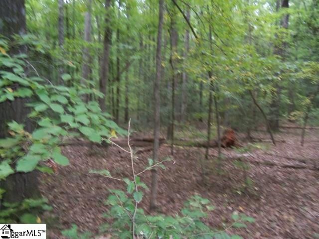 0 Twin Branch Road Gray Court, SC 29645 - Photo 3 of 24 Gallery Image 3