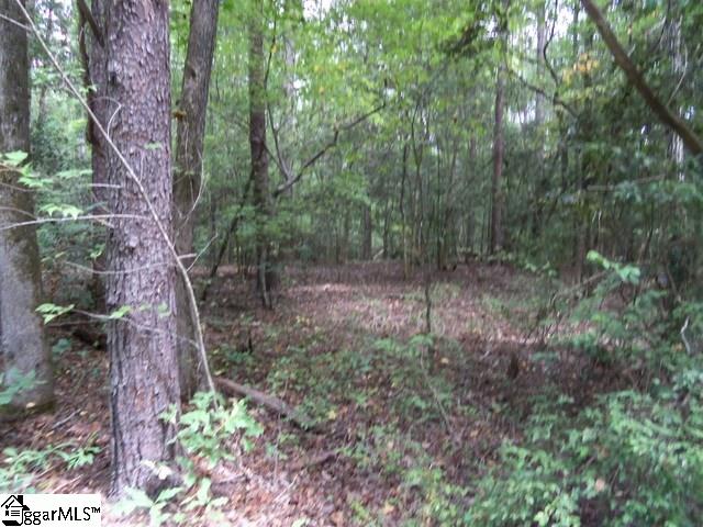0 Twin Branch Road Gray Court, SC 29645 - Photo 22 of 24 Gallery Image 22