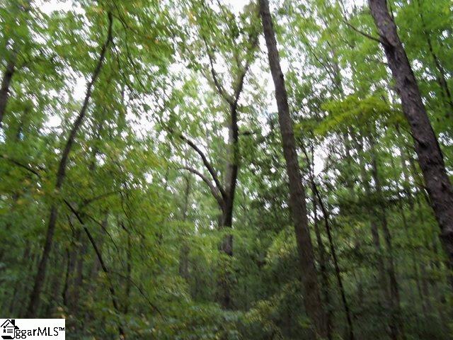 0 Twin Branch Road Gray Court, SC 29645 - Photo 4 of 24 Gallery Image 4