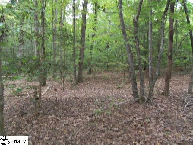 0 Twin Branch Road Gray Court, SC 29645 - Photo 5 of 24 Gallery Image 5