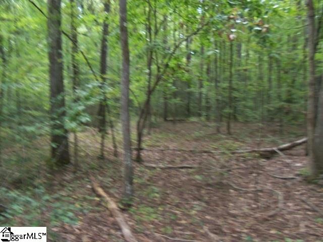 0 Twin Branch Road Gray Court, SC 29645 - Photo 8 of 24 Gallery Image 8
