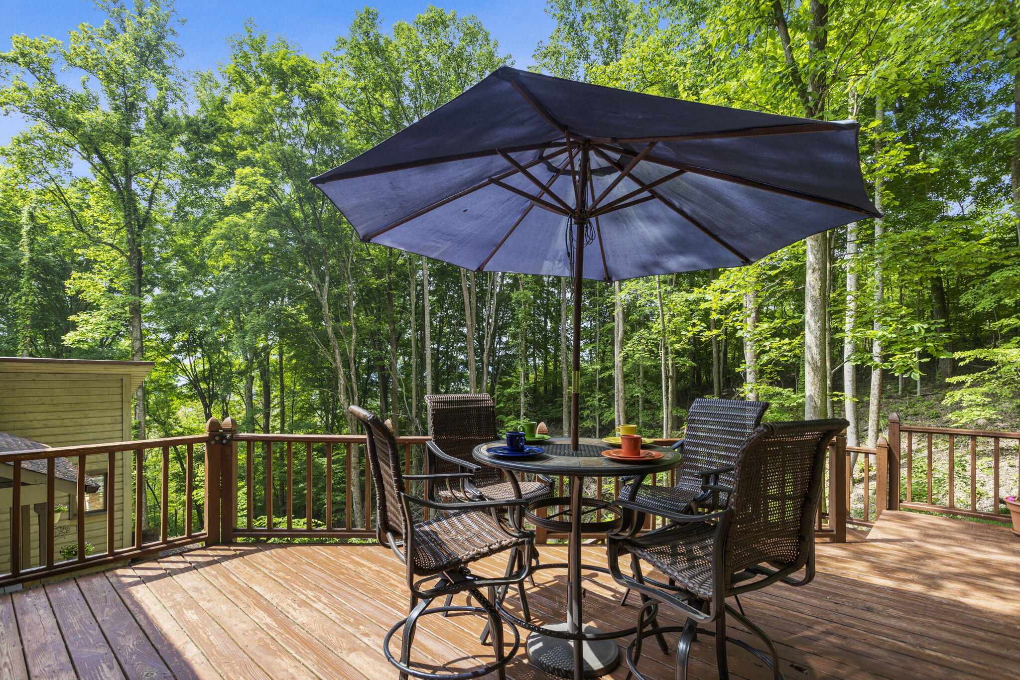 387 Carlton Road Bristol, TN 37620 - Photo 32 of 34 29-web-or-mls-IMG_1924a