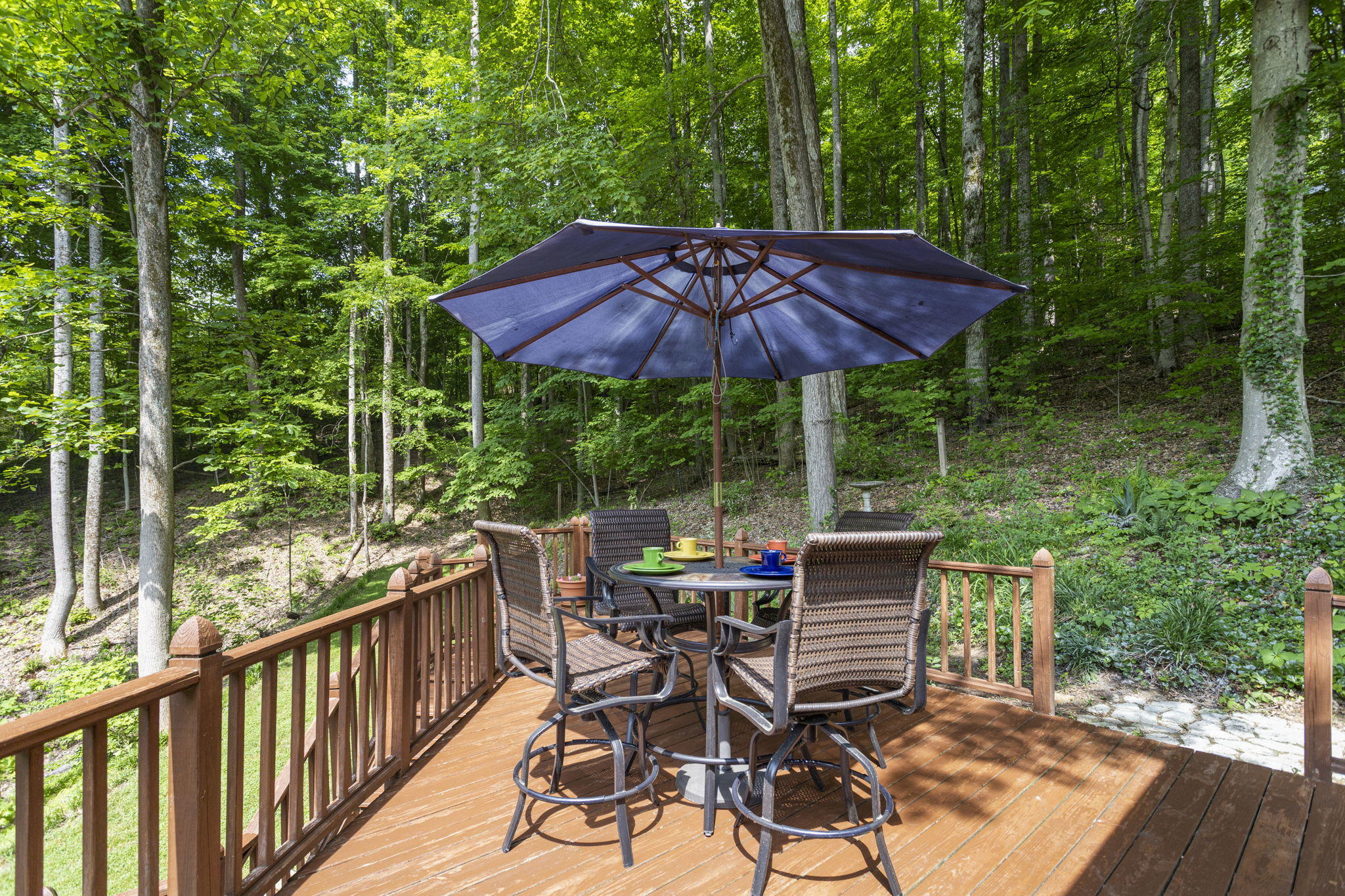 387 Carlton Road Bristol, TN 37620 - Photo 33 of 34 30-web-or-mls-IMG_1927a